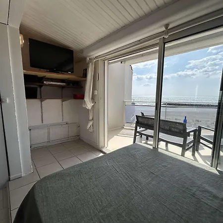 D'agde - Confortable Pour 4 Personnes - Fr-1-249-425 公寓